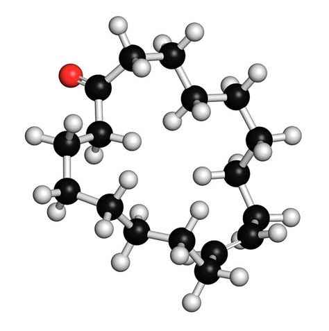 pheromone molecule 1.